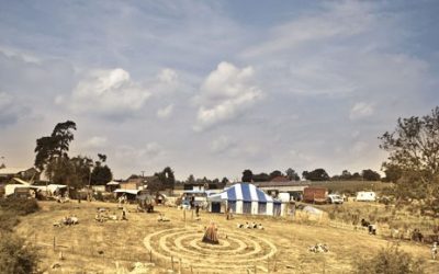 More Regional Festivals Confirmed