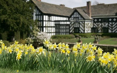 Proclaimers live in garden theatre at Gawsworth Hall